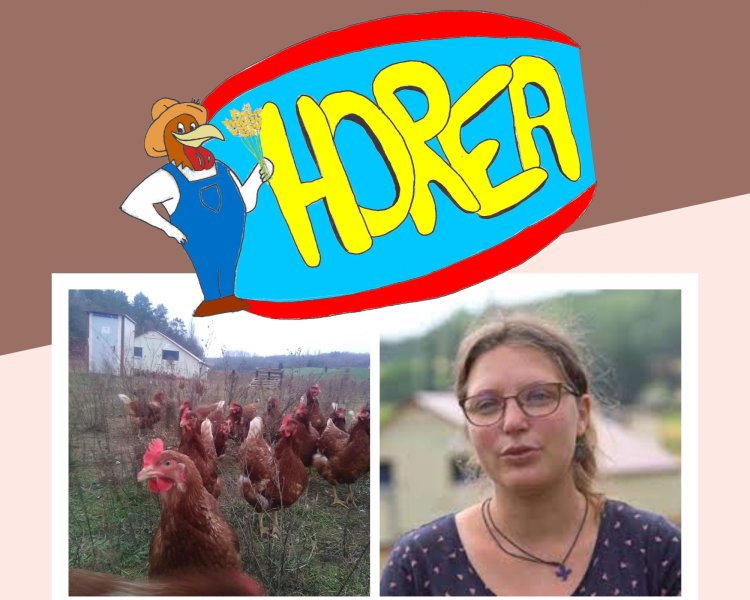 horéa